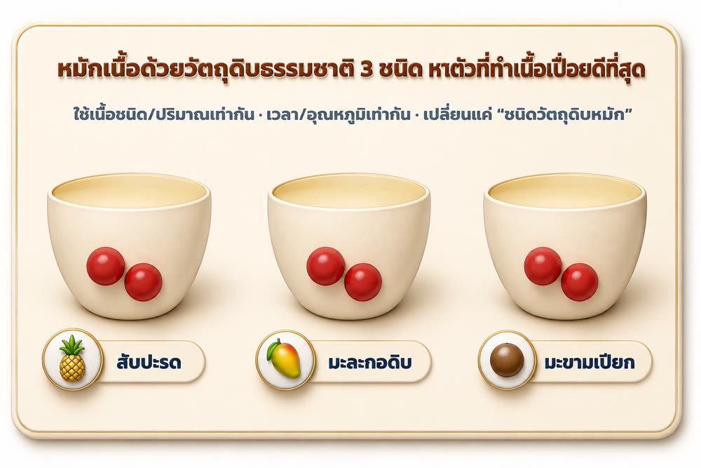 หมักเนื้อด้วยวัตถุดิบธรรมชาติ 3 ชนิด (สับปะรด/มะละกอดิบ/มะขามเปียก) คุมเนื้อ/ปริมาณ/เวลา/อุณหภูมิเท่ากัน เปลี่ยนแค่ชนิดวัตถุดิบหมัก