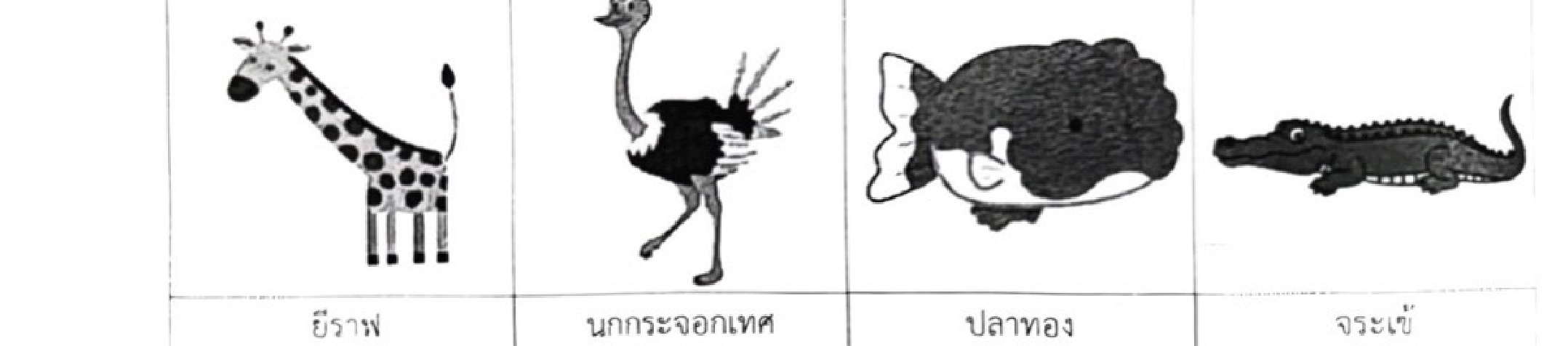 สัตว์ 4 ชนิดในโจทย์ ยีราฟ นกกระจอกเทศ ปลาทอง จระเข้